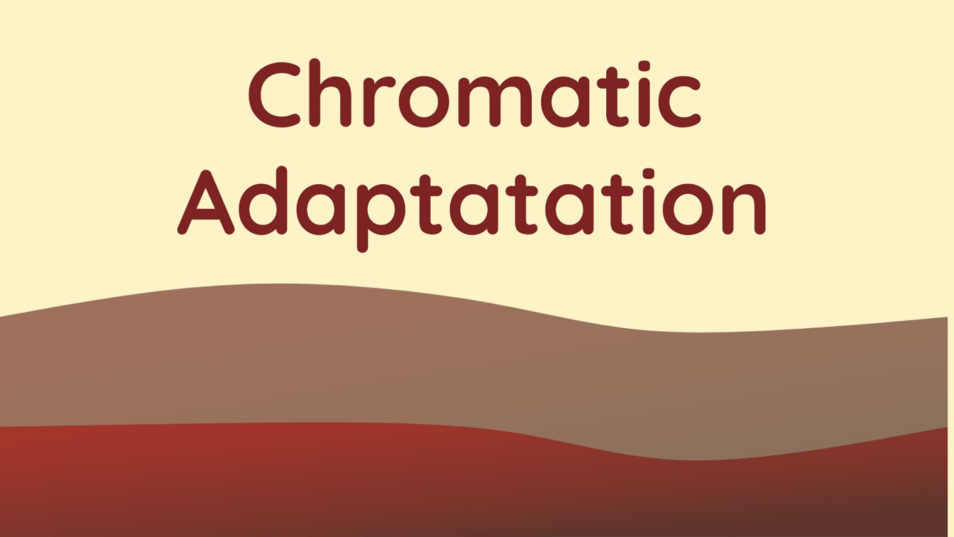 Chromatic adaptation (Color constancy)